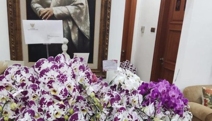 Makna Mendalam di Balik Bunga Anggrek Prabowo Subianto untuk Megawati Soekarnoputri