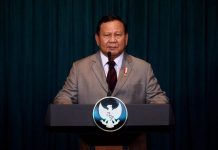 Akselerasi Ekonomi: Presiden Prabowo Bentuk Satgas Khusus Dipimpin Airlangga Hartarto Presiden Prabowo Subianto