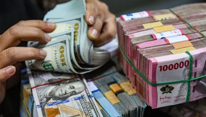 Utang Luar Negeri Indonesia Januari 2025 Terkendali, Tumbuh 5,1%