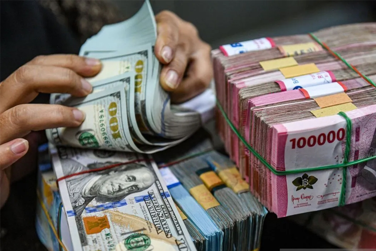 Utang Luar Negeri Indonesia Januari 2025 Terkendali, Tumbuh 5,1%