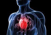 Hari Jantung Sedunia, Pakar Ingatkan Pentingnya Langkah Kecil untuk Kesehatan Kardiovaskular