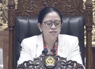 Ancaman Hantavirus: Puan Maharani Desak Pemerintah Perkuat Surveilans Meski Suspek Negatif Ketua DPR RI Puan Maharani memberikan pernyataan mengenai penguatan sistem kesehatan nasional dan pengawasan ancaman wabah hantavirus.