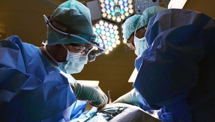 Pertama di Dunia! China Sukses Transposisi Kombinasi Hati dan Ginjal Babi Berteknologi Genetika ke Manusia