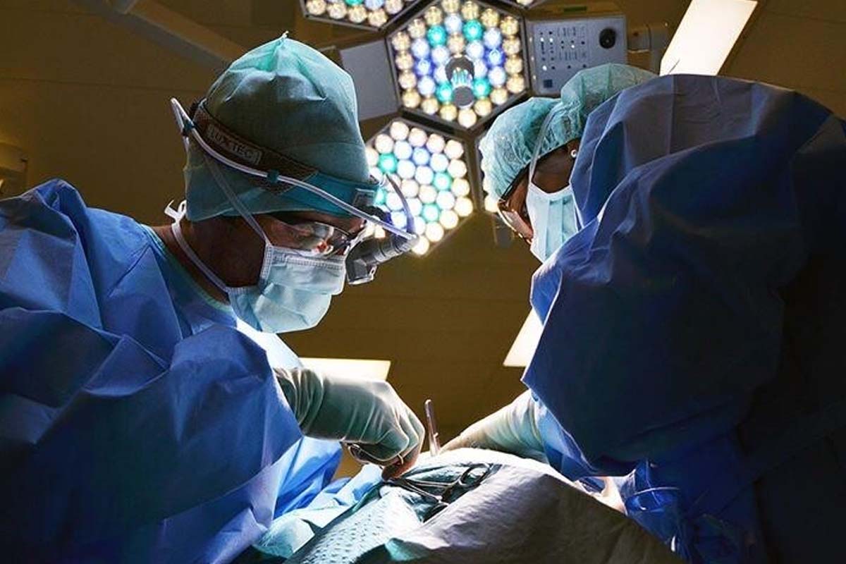 Pertama di Dunia! China Sukses Transposisi Kombinasi Hati dan Ginjal Babi Berteknologi Genetika ke Manusia